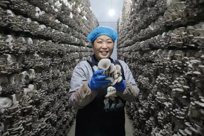 走在前 開新局！闖出綠色循環(huán)'大村模式'，引領(lǐng)食用農(nóng)產(chǎn)品高質(zhì)量發(fā)展